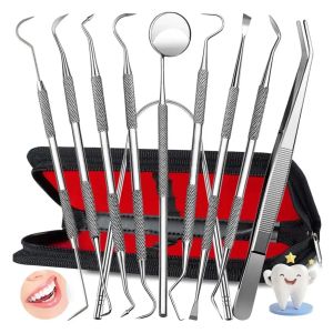 Kit De Herramientas Dentales De Acero Inoxidable, 10 Piezas
