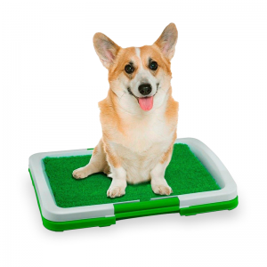 Baño para perro chico y mediano